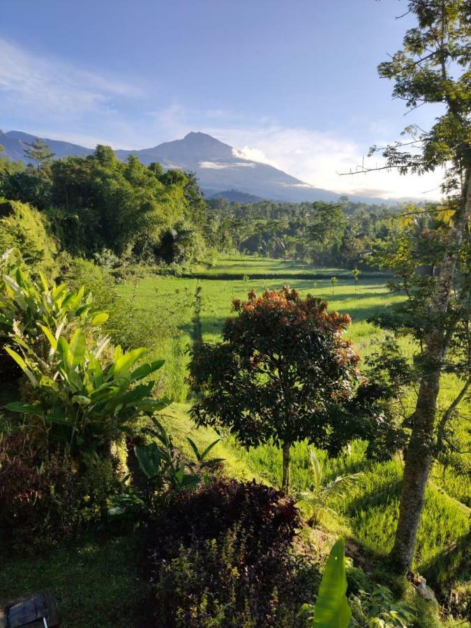 Aryasuta Bungalow Tetebatu Exterior foto